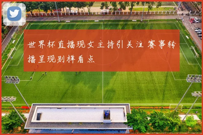 世界杯直播现女主持引关注 赛事转播呈现别样看点