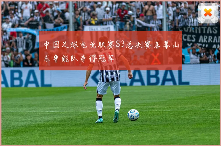 中国足球电竞联赛S3总决赛落幕山东鲁能队夺得冠军