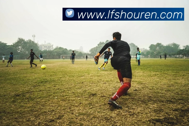 米兰网官网登录入口服务体系